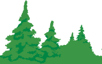 Bäme
